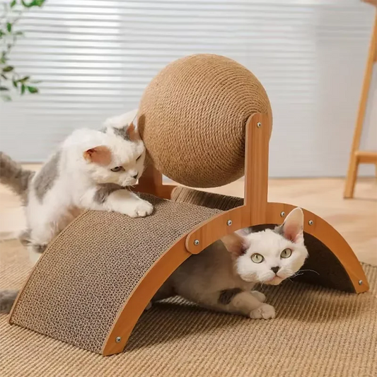PlayPaws Activity Hub 🐾