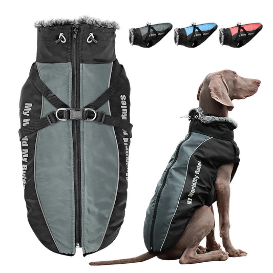 WarmGuard Dog Vest 🐾